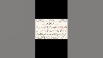 سوره التين || الشيخ علي بن جابر