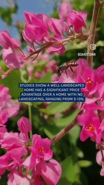 does-landscaping-add-value-youtube