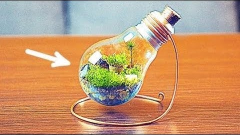 CÓMO HACER UN TERRARIO ETERNO