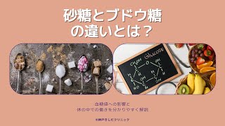 砂糖とブドウ糖の違い｜血糖値への影響・果糖・異性化糖の注意点