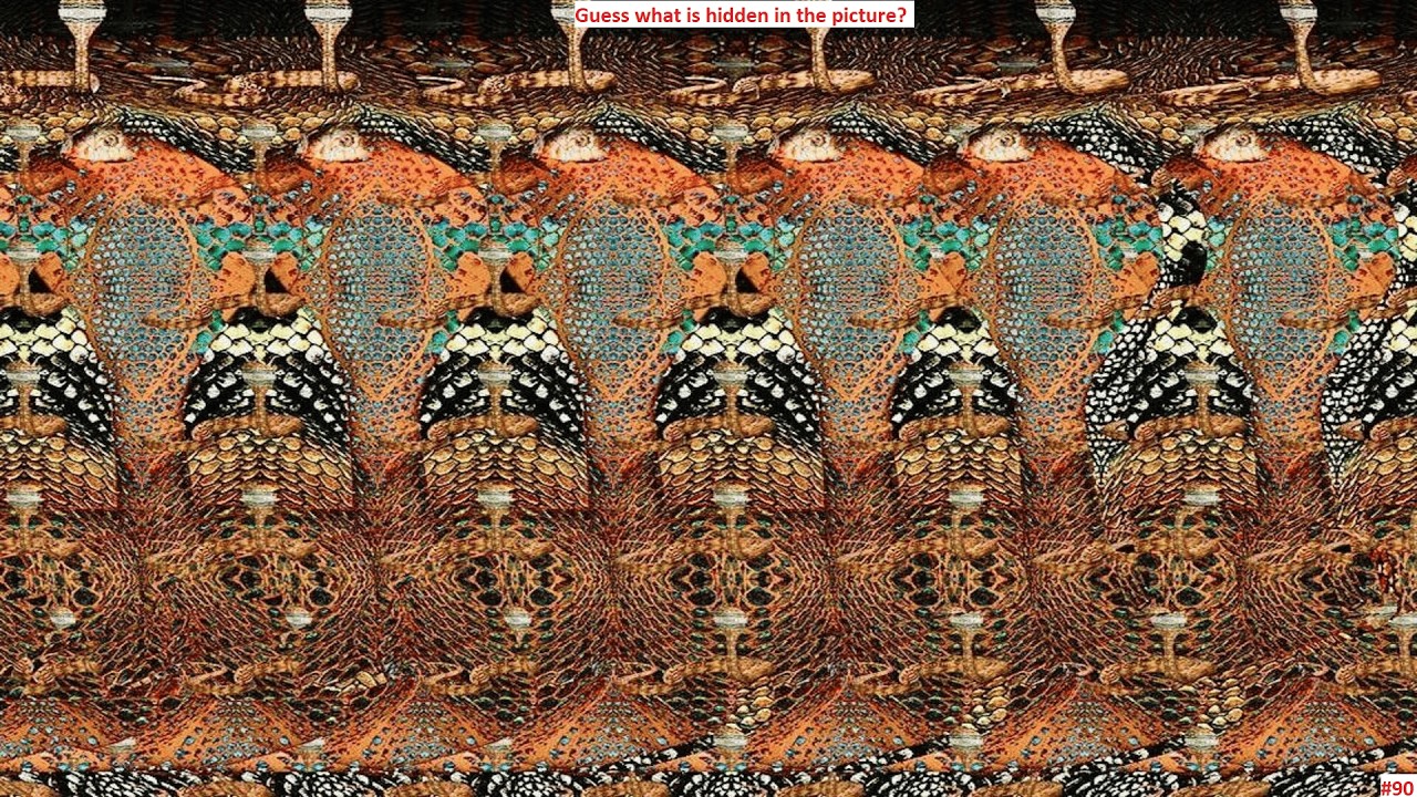 Что  спрятано на этой картинке? Guess what is hidden in the picture?