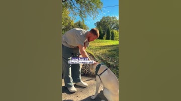 Donte DiVincenzo Using Basketball To Impress His Dream Date | The Dodo