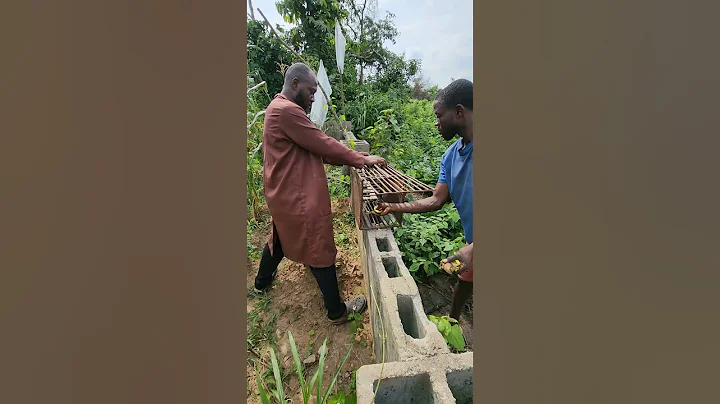 How to catch a monkey 🐒  #trap #HowTo #bait #hunting