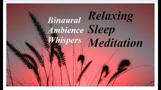 Ambient Relaxation Sleep Meditation - Theta Brainwave Binaural Light Narration