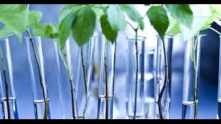 Le biomimétisme : s'inspirer de la nature pour innover durablement - cese