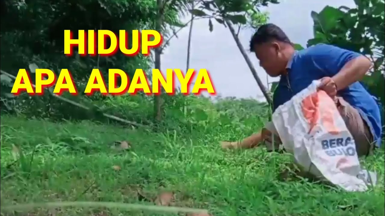 Tetaplah Hidup Walaupun Tak Berguna || RealLife - YouTube