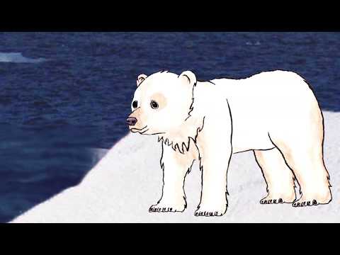La chanson de Papouk et Aiyanna - Papouk le Pizzly, un ours polaire pas  comme les autres - YouTube