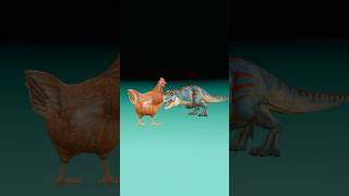 Are Chickens Really Relatives Of Dinosaours?