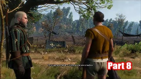 The Witcher 3: Wild Hunt Part 8 (BLIND) - Missing in Action