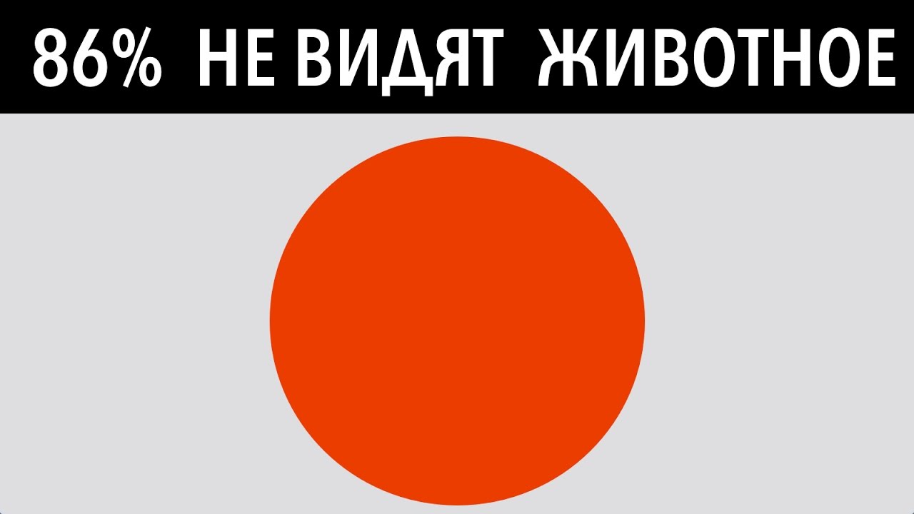 7 кругов тест. Тест на зрение. Тест на зрение круги. Только 1 процент людей увидят. Тест на зрение красный круг.