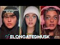 ELONGATEDMUSK POV  Tiktok Funny Videos - Best tik tok POVs of @elongatedmusk (Valerie LePelch) 2021