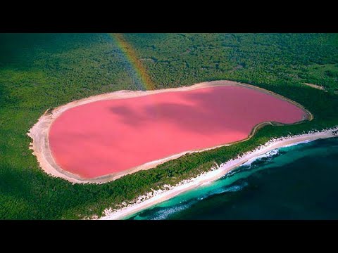 Video: Cum a devenit roz lacul Hillier?