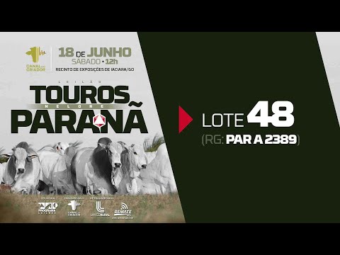 LOTE 48 PAR A2389   HD 1080p