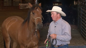 Trailer Loading (Part 1)