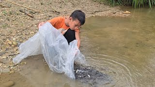 Download Lagu release baby carp into the wild, Sprinkle lime to disinfect the farm, carp fishing for sale MP3 Download Lagu release baby carp into the wild, Sprinkle lime to disinfect the farm, carp fishing for sale MP3