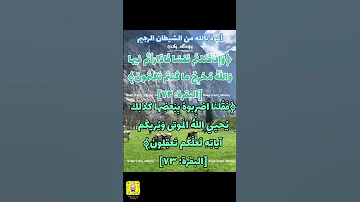 حفظ سورة البقرة آية 72 73 