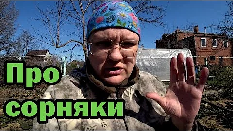 Откуда сорняки в огороде и что с ними делать?