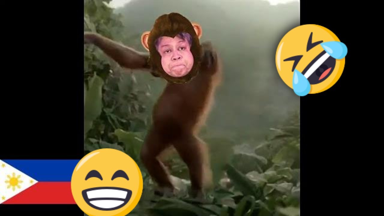 straight face monkey meme | Sticker