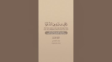 سورة محمد [ 12 : 14 ] ~ الشيخ سعد الغامدي