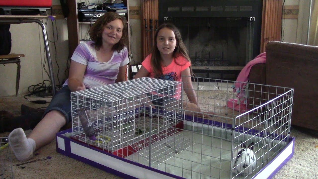 diy bunny playpen