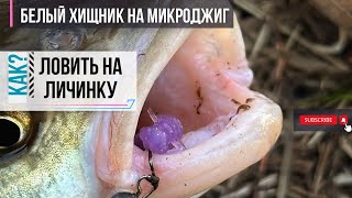 Как поймать голавля на микроджиг | 5 советов начинающим спиннингистам | ловля белого хищника весной