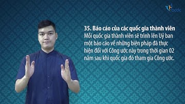 Công ước quốc tế về Quyền của người khuyết tật - Điều 35, Báo cáo của các quốc gia thành viên