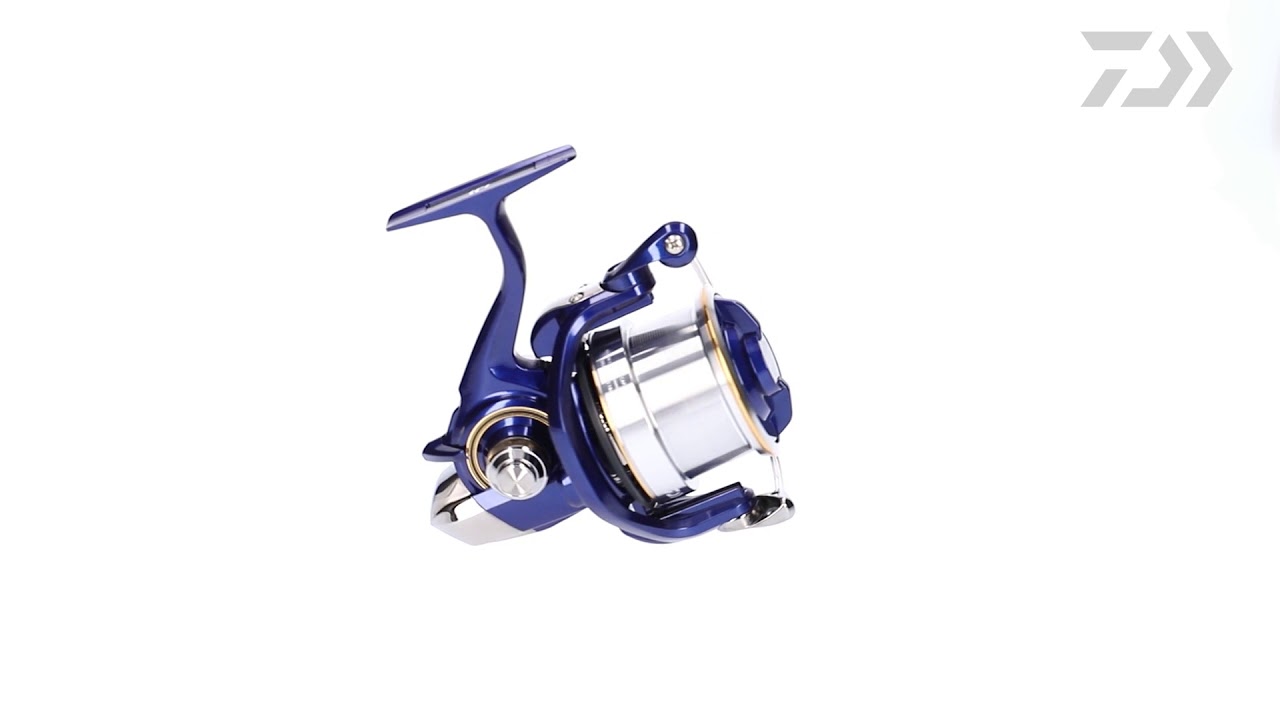 Daiwa 19 TDR Distance 25 QD