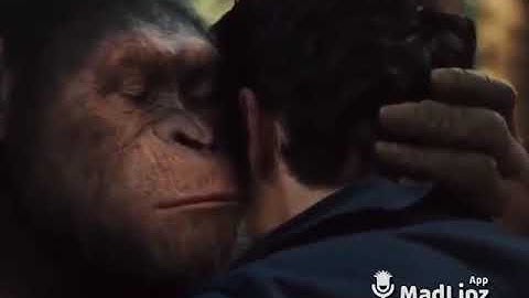 Ape Shares A Secret #3 - Lồng Tiếng Pa Cô (A Lưới)