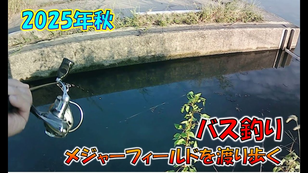 バス釣り行脚～メジャーフィールドを渡り歩く～
