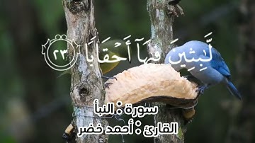 قرآن كريم سورة النبأ كاملة بصوت القارئ أحمد خضر
