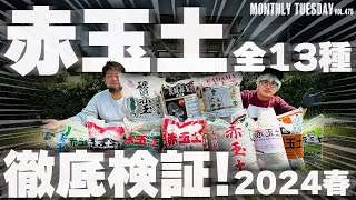 【検証】赤玉土13種類徹底検証！！結局どれがいいの！？アカベ、塊根、サボテンの植え替え前に見てください！