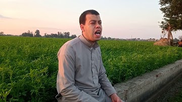 تلاوة  خيالية من  سورة الحجرات القارئ عبدالله قاسم