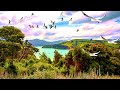 Birds flying relaxing music sleep  meditation music yoga study deep sleep