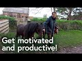 Study Habits and Mindset Quiz