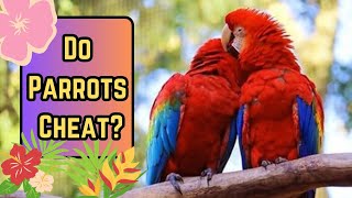 Do All Parrots Mate For Life? (Monogamous Relationships)
