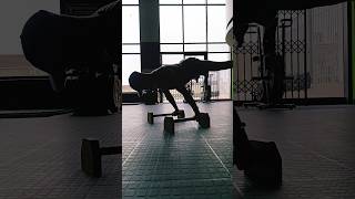 alright straddle planche hold #calisthenics #planche #straddleplanche #streetworkout #gymnast