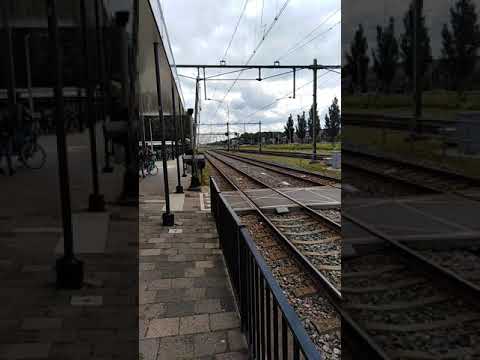 Zugbetrieb in Zevenaar Niederlande.