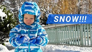 1st Time PLAYING IN THE SNOW! ❄️ Winter Wonderland: Hokkaido Japan 2022