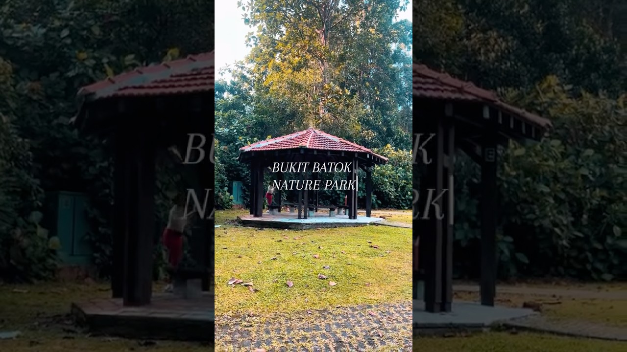 📍Bukit Batok Nature Park | 