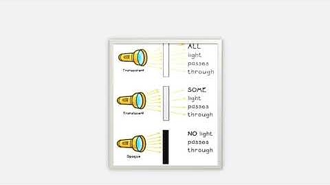 class 5 Science Chapter  Seeing is Believing