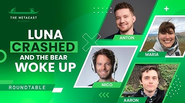 Luna Crashed and the Bear Woke Up - The Metacast by Naavik