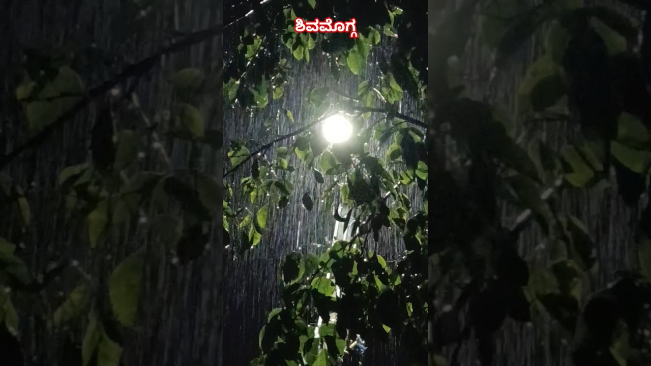 ಶಿವಮೊಗ್ಗ ನಗರದಲ್ಲಿ 29/6/2026 ರ ಸಂಜೆ ಬಿದ್ದ ಮಳೆ...#shimoga #shivamogga #rain #rainfall