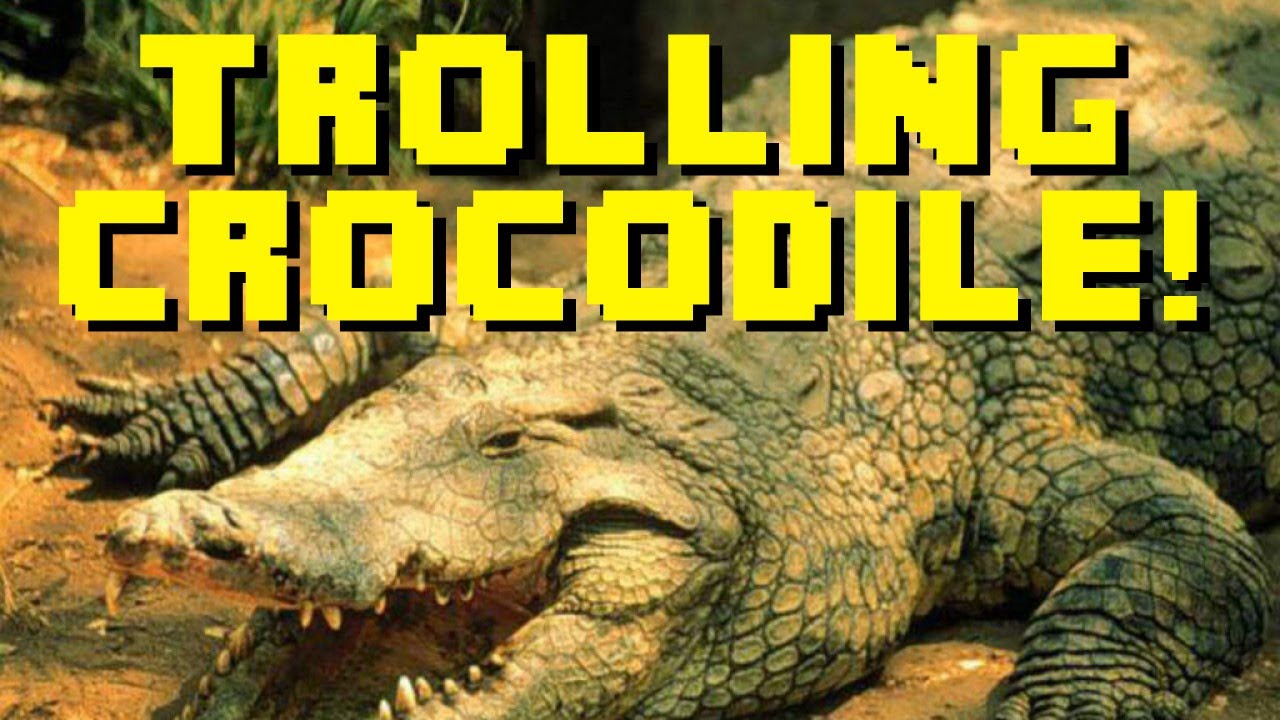 This Crocodile is a Troll! - Far Cry 3