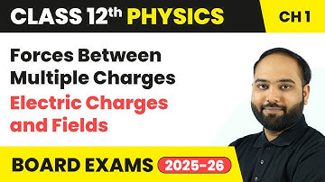 Forces Between Multiple Charges - Electric Charges and Fields | Class 12 Physics Chapter 1 | CBSE