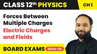 Forces Between Multiple Charges  Electric Charges and Fields | Class 12 Physics Chapter 1 | CBSE