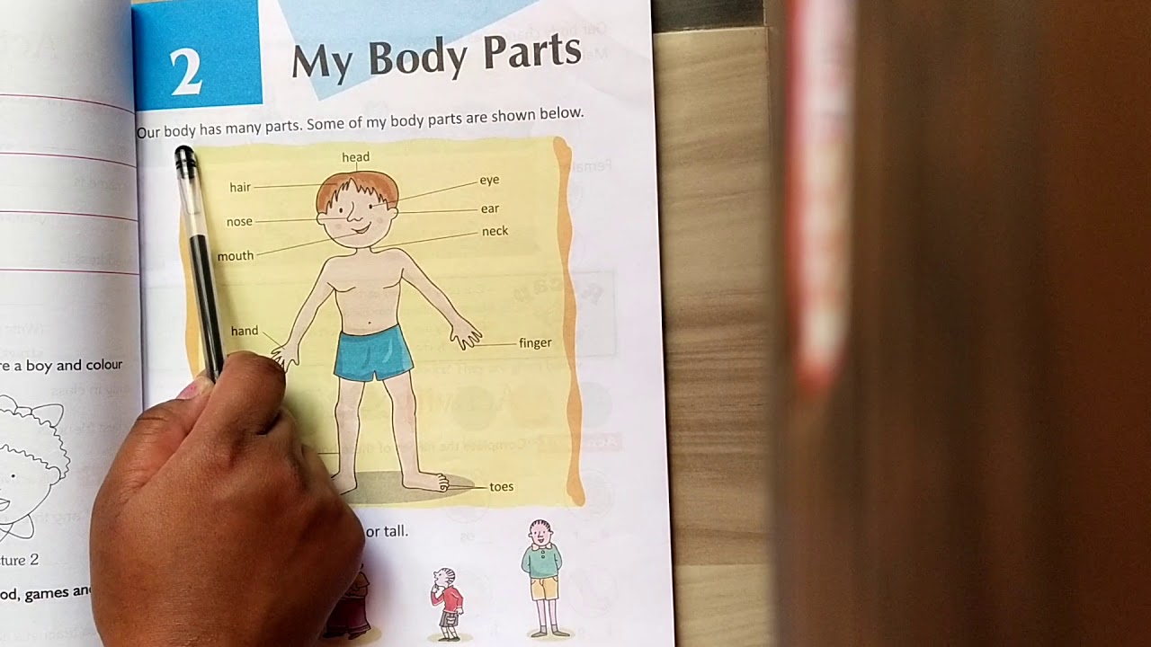 subject evs class 1st chapter 2 my body parts youtube