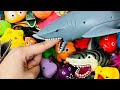 Learn Animal Names, Animal toys, Animals for kids, Sea Animals, Zoo, Farm, wild, aquatic Animals