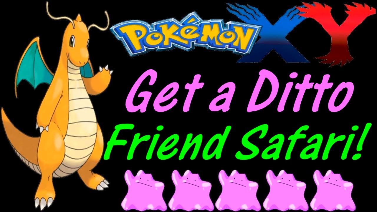 ditto friend safari