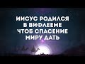 Joyyouth Worship - За Рождество | караоке текст | Lyrics