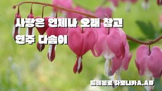 사랑은 언제나 오래 참고 / 트레몰로 하모니카 A. A#